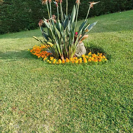 A Casa Da Piruleta Dom wakacyjny