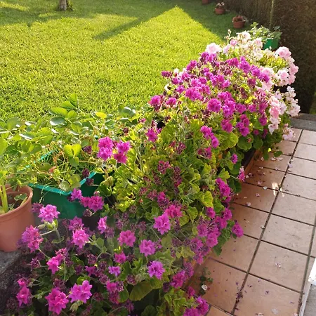 A Casa Da Piruleta