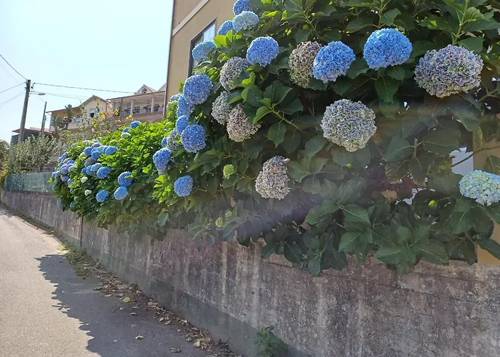 A Casa Da Piruleta Hébergement de vacances Bueu