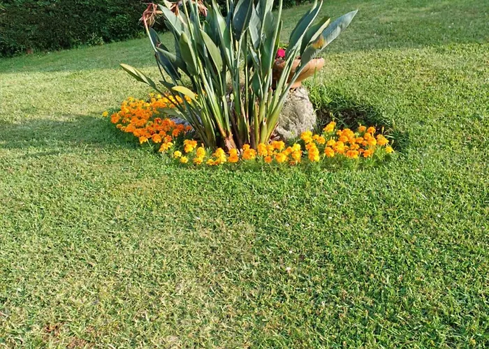 A Casa Da Piruleta Hébergement de vacances