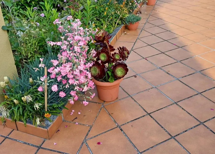 Hébergement de vacances A Casa Da Piruleta Bueu