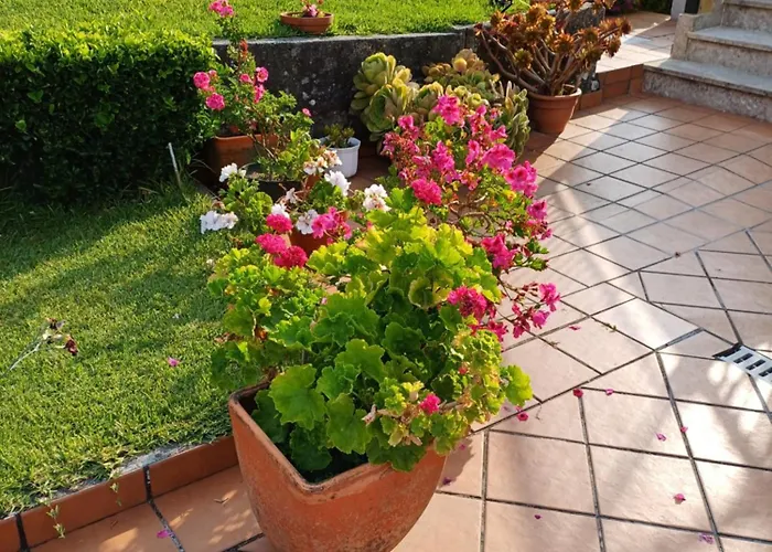 A Casa Da Piruleta * Bueu